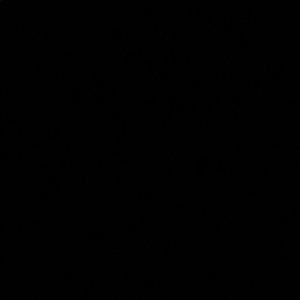 Meet your Posher, Ashmita